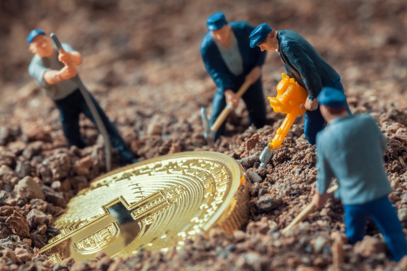 ico team