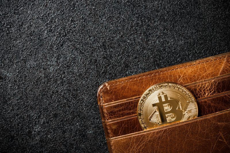 What Are Online Wallets