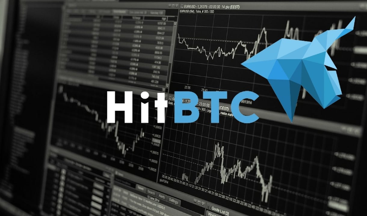 HITBTC Freezes User Accounts