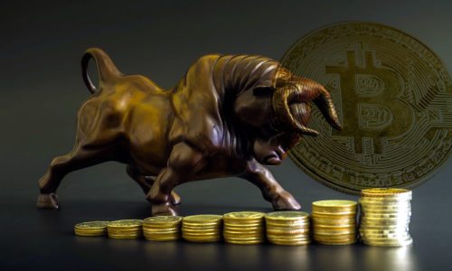 Bitcoin bull market